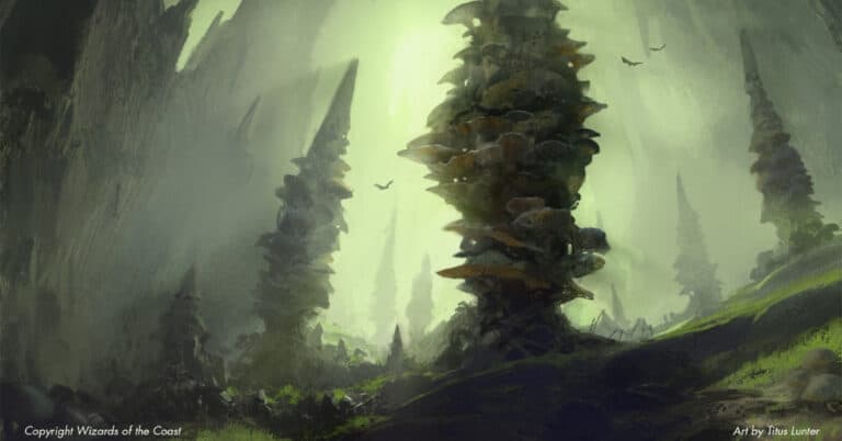 Forest Image - DnD 5e
