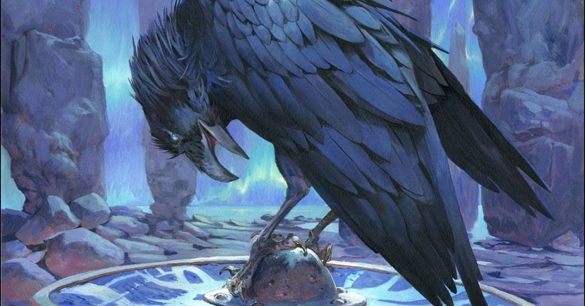 Augury Raven