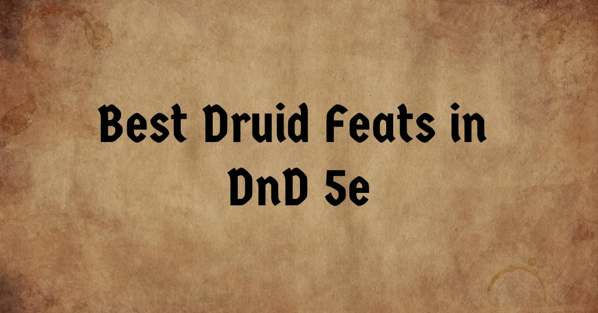 Best Druid Feats